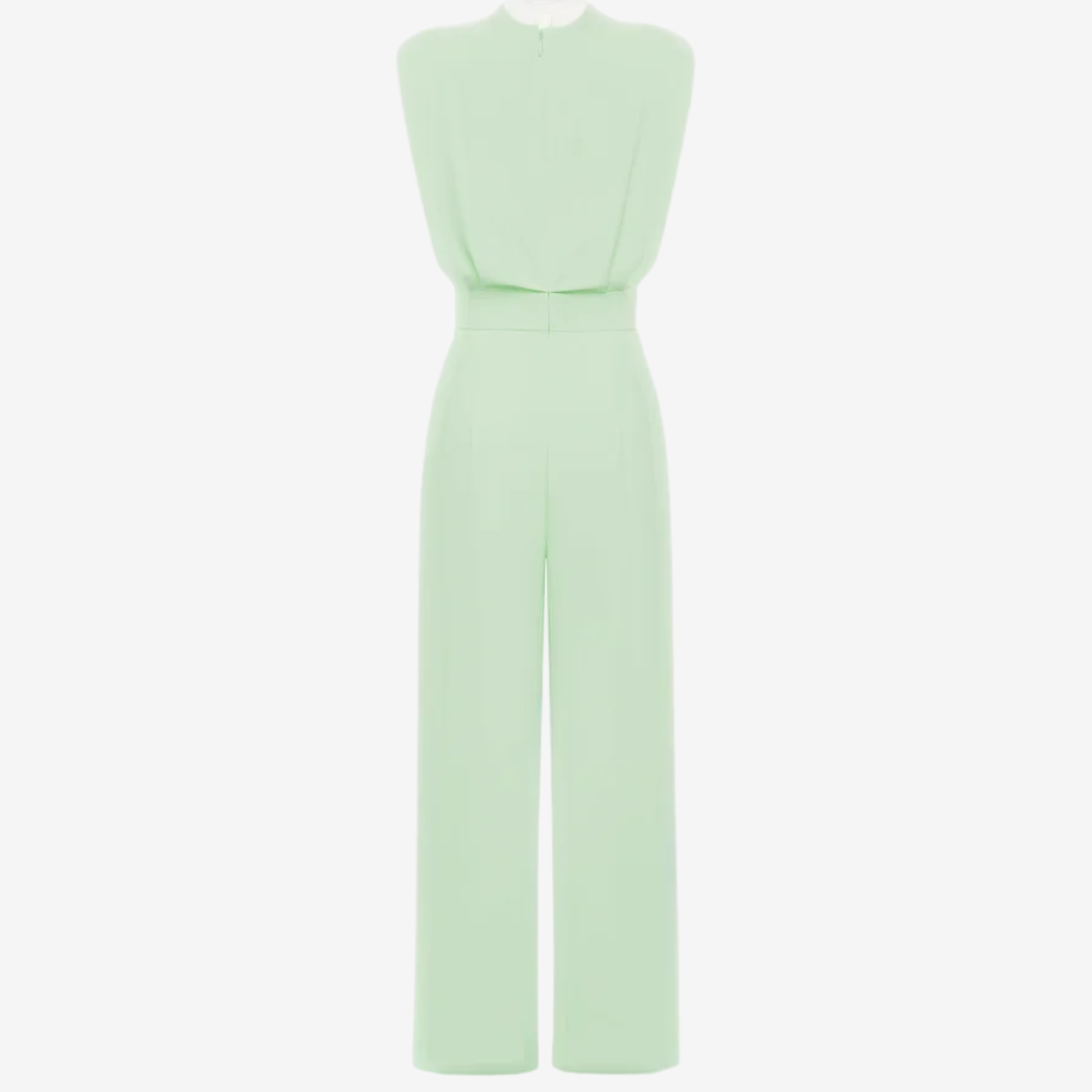 Ariia | Defined Waist Jumpsuit